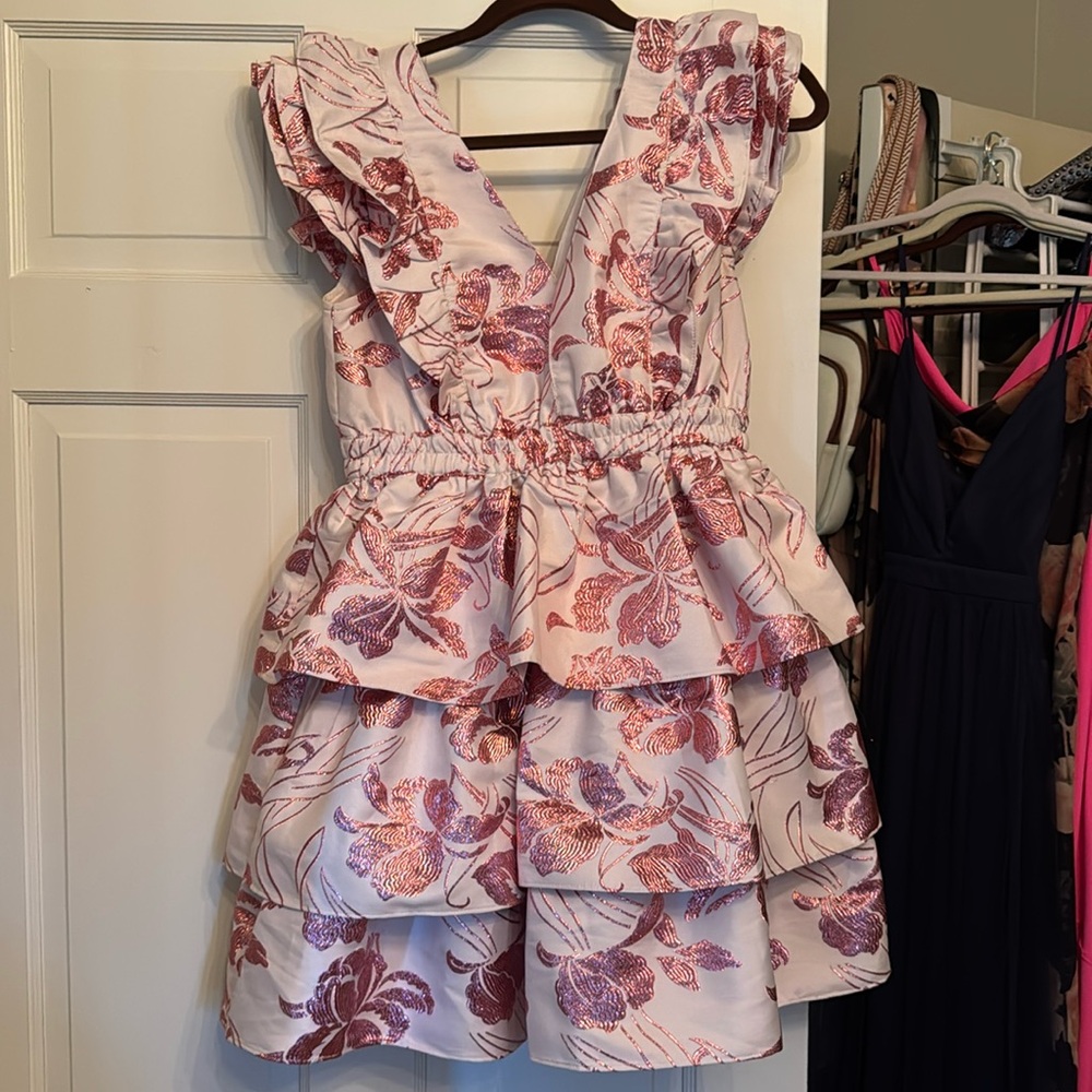 Buddy Love pink ruffle dress Medium